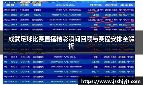 成武足球比赛直播精彩瞬间回顾与赛程安排全解析