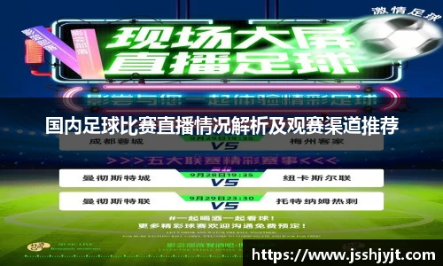 国内足球比赛直播情况解析及观赛渠道推荐